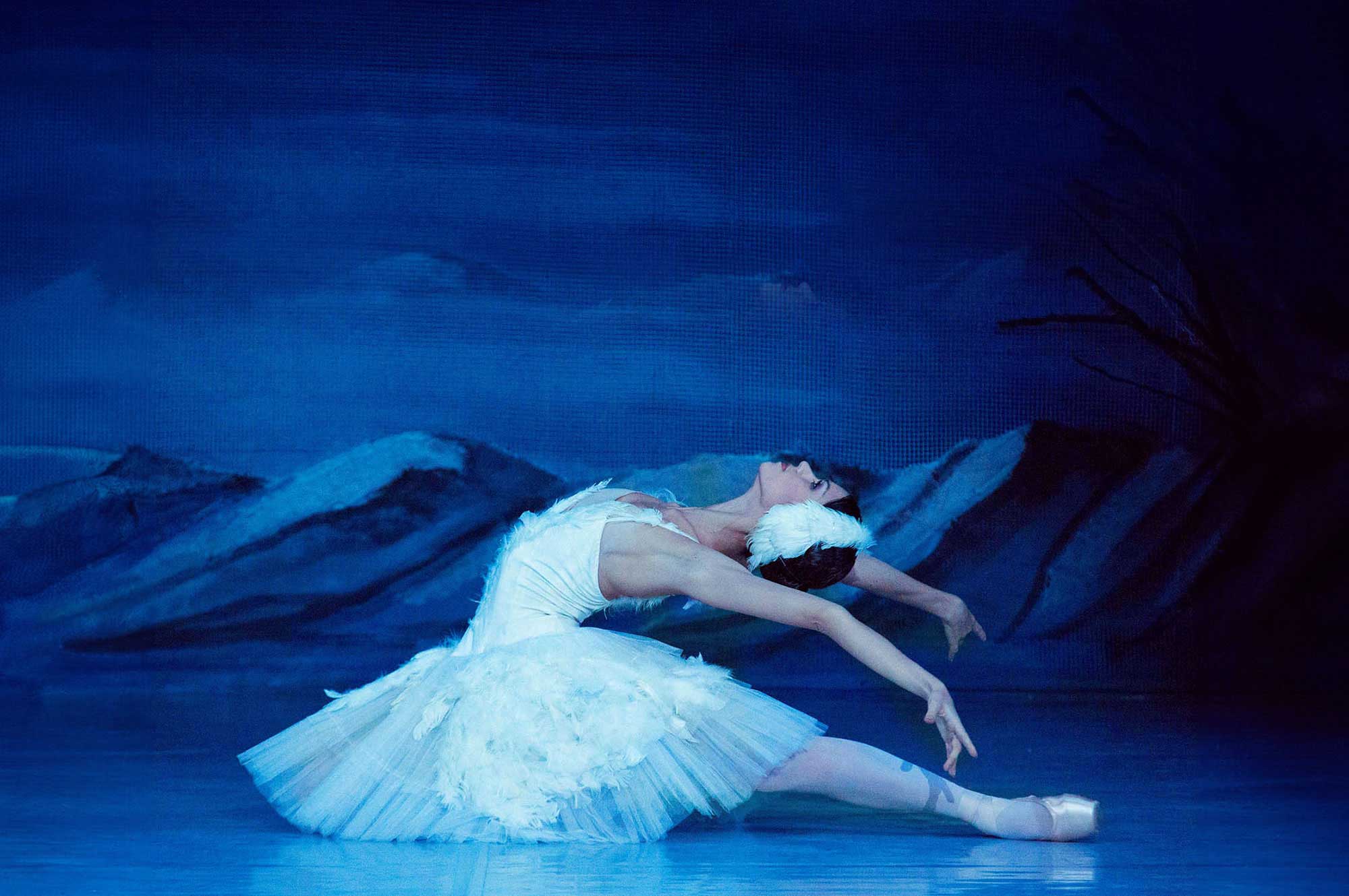 Лебединое Озеро